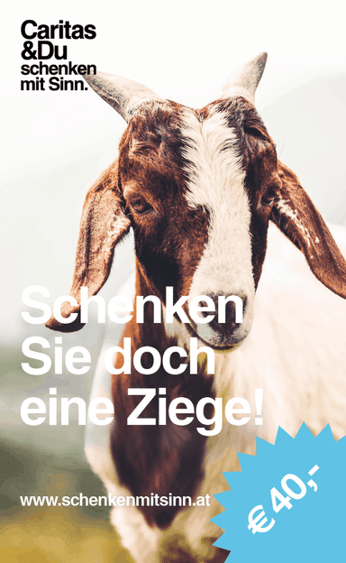 guterzweck.net – Bild 9