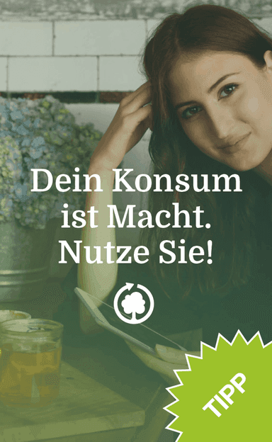 Haus des Meeres – Bild 4